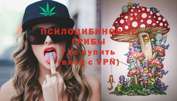 гидропоника Абаза