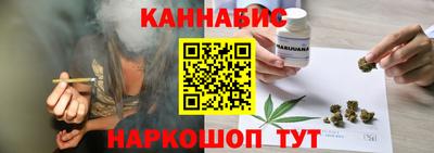 мдпв Славгород