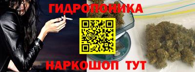 мдпв Славгород