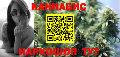 мдпв Славгород
