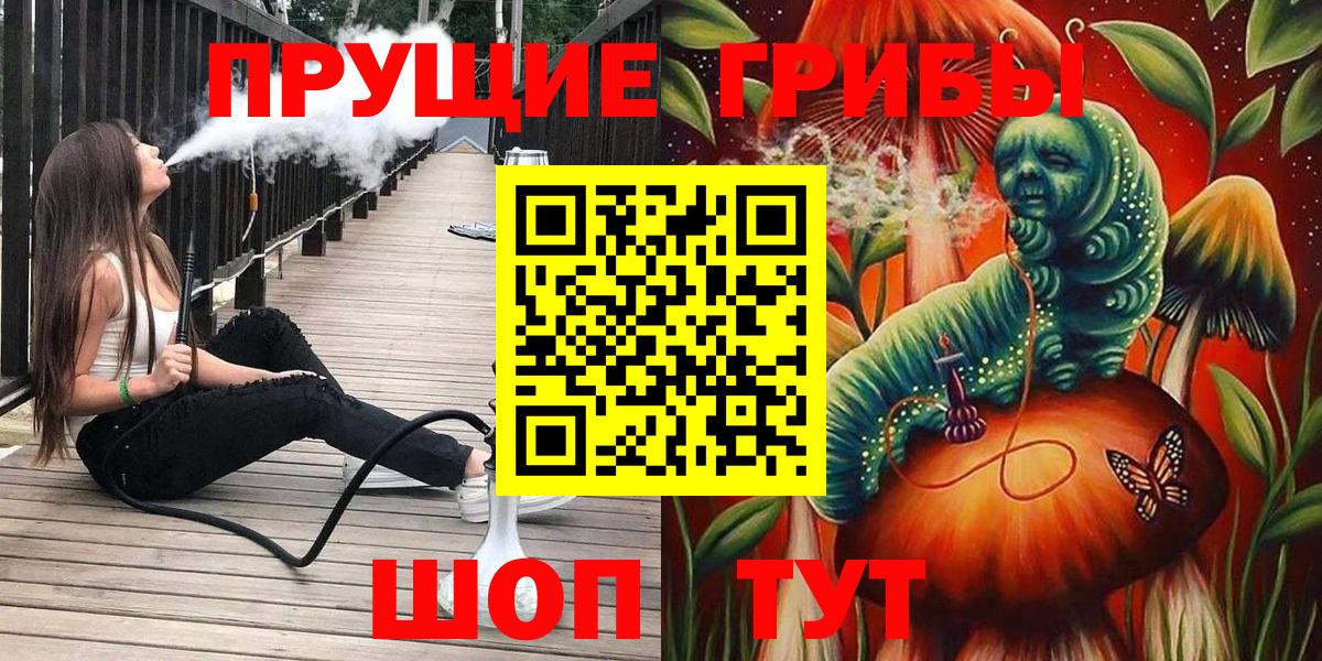 где найти   Галлюциногенные грибы Magic Shrooms  Вход с VPN  Саратов  Галлюциногенные грибы прущие грибы 